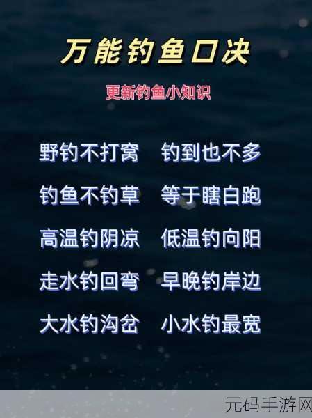 小森生活钓鱼秘籍,让你满载而归的秘诀