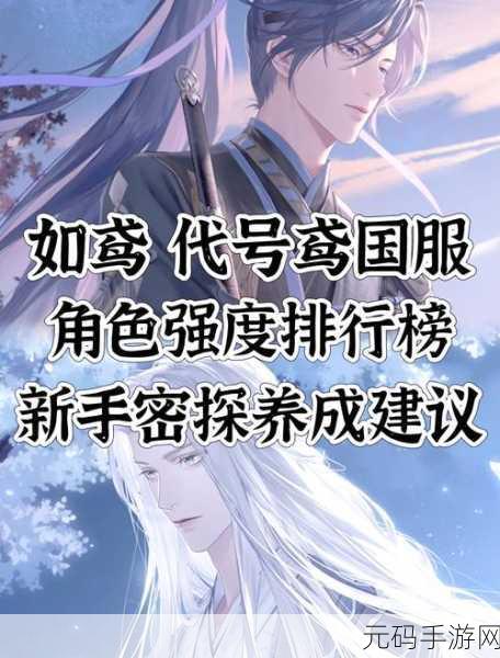 如鸢 2024 公测全角色强度评估大揭秘，最强阵容搭配风向