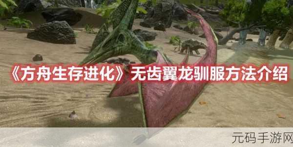 方舟手游,新手驾驭飞行神兽 为何无齿翼龙成首选