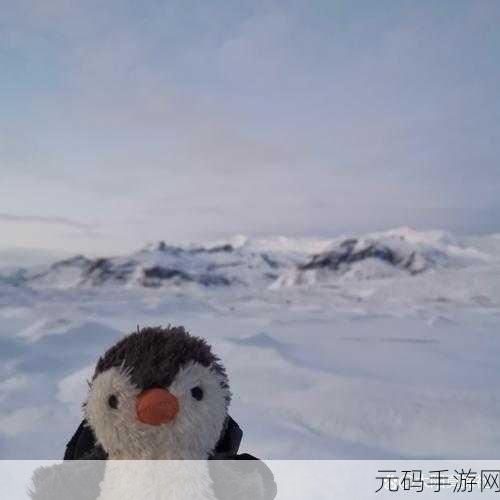 企鹅悠闲垂钓之旅,探索企鹅喜欢钓鱼的佛系乐趣