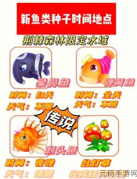 摩尔庄园手游,探寻银河鱼的神秘钓点