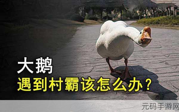 村霸大白鹅,清新简约的田园模拟之旅,现已开放下载!