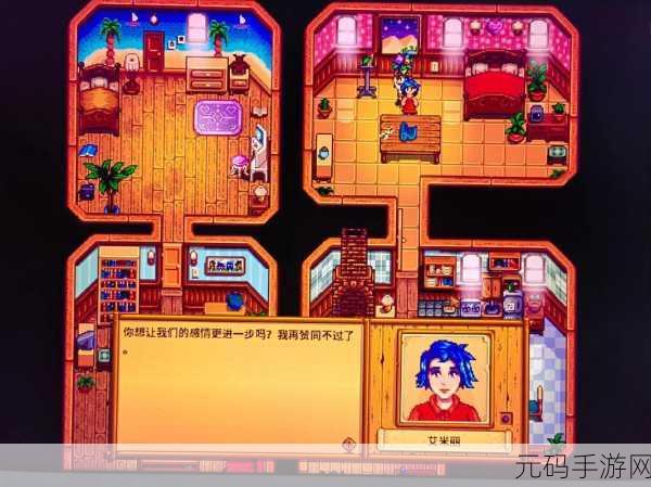 星露谷物语,揭开 Emily 的神秘面纱与位置密码
