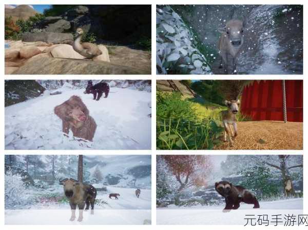 动物园之星豪华升级包震撼登场,打造你的梦幻动物王国,中文最新下载现已开放