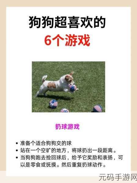 救救狗狗风靡全网，这款休闲小游戏为何让人欲罢不能？