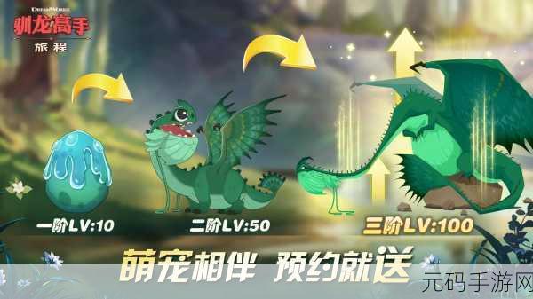 驯龙物语，探索奇幻世界，与龙共舞的冒险之旅现已启程