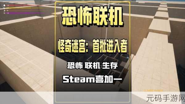 收容所,多人联机恐怖解谜,挑战你的心跳极限!