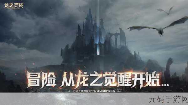 龙之荣耀震撼来袭，3D魔幻MMORPG测试版开放下载，探索无限可能的奇幻世界