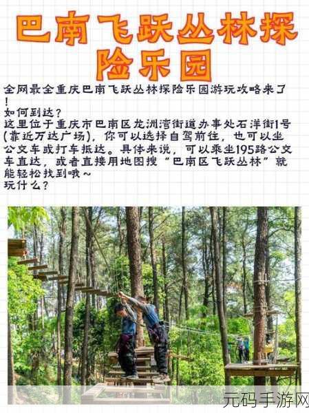 丛林奇遇,解锁全新冒险,体验心跳加速的跳跃之旅