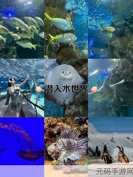 海底生物进化奇妙之旅，爱面子官方版带你领略生物进化的奥秘