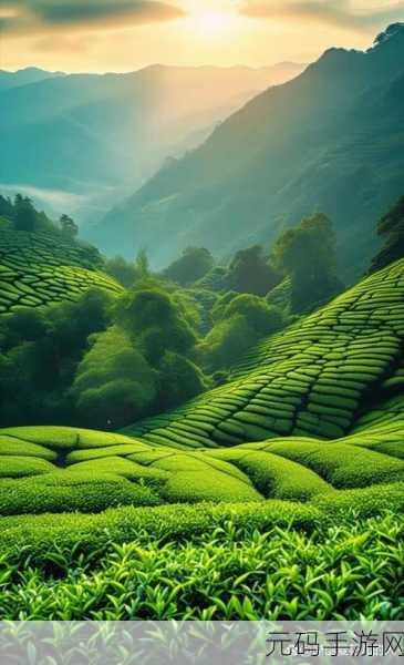 奇妙小茶园，打造你的梦幻茶田，手机版现已上线