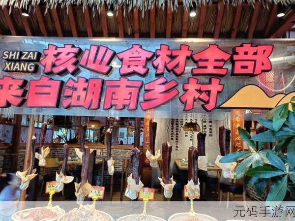 乡下风情再现，经营梦想餐馆，我在乡下开餐馆掀起休闲模拟热潮