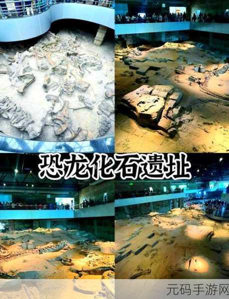 恐龙考古大师,探索史前遗迹,挖掘化石宝藏之旅