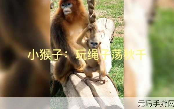 猴子荡秋千，乐趣无极限！——猴子绳索中文修改版火爆来袭