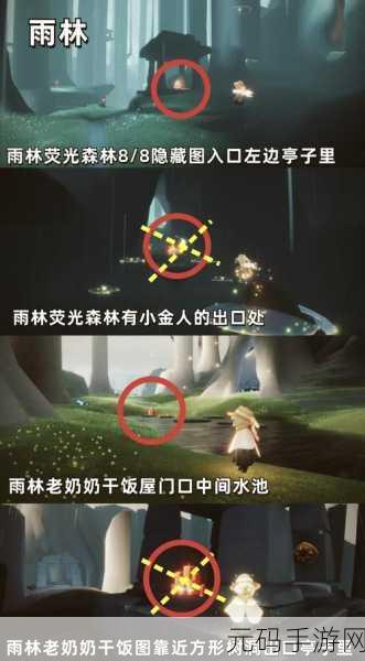 光遇雨林先灵位置全知道 精准寻找流程大揭秘