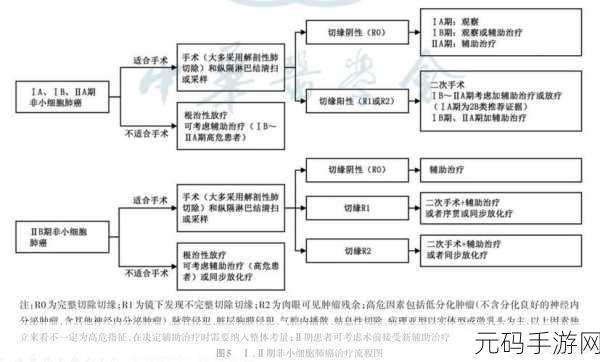 肿瘤医生中文版，穿越医疗史，体验医者仁心的趣味之旅