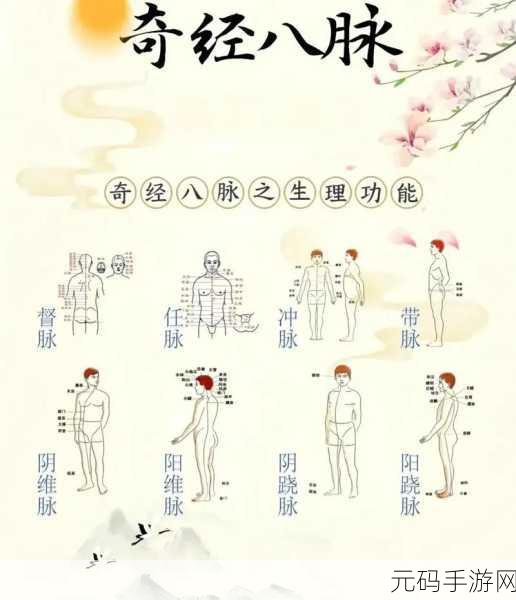 烟雨江湖中脉经的神秘力量，深度剖析经脉属性与效果