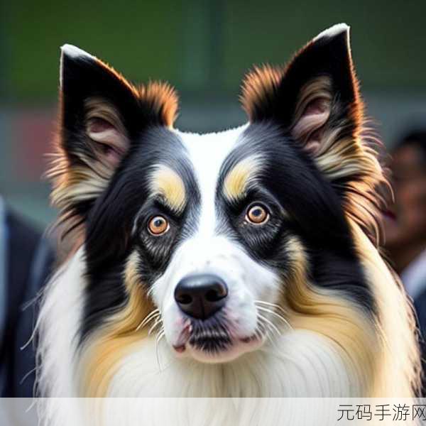 这关有点狗风靡全网,魔性闯关挑战你的极限!
