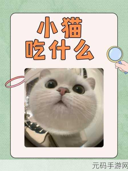 喵喵餐厅物语，萌宠猫咪与你共筑美食梦，最新版本现已上线！
