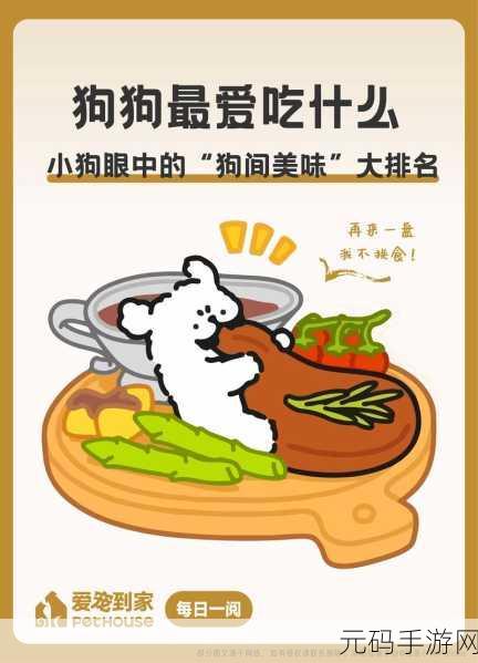 萌宠小狗变身烹饪大师，开启美食之旅，小狗烹饪厨师火爆上线！