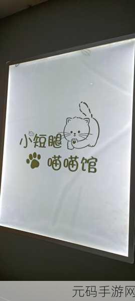 喵喵甜品屋,打造梦幻卡通烹饪之旅,甜蜜下载即刻开启