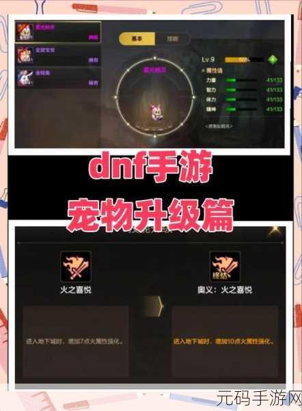 DNF 手游宠物升级秘籍大揭秘