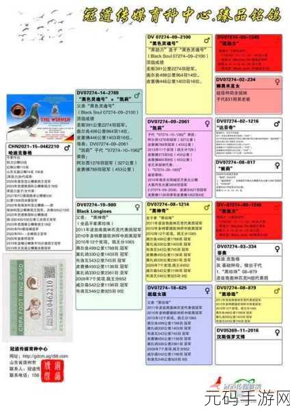 2024 代号肉鸽最新兑换码全揭秘，你不容错过！