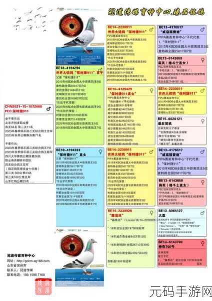 2024 代号肉鸽最新兑换码全揭秘，你不容错过！