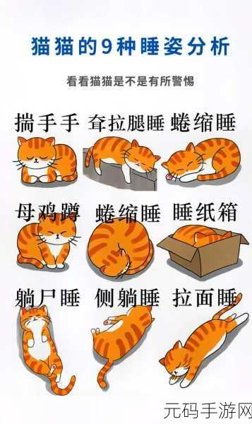 睡姿大挑战风靡全网，解锁你的创意闯关新姿势！
