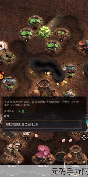 蚂蚁部落大战小游戏，开启微观世界的另类策略之旅