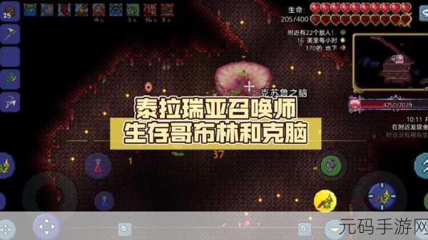 泰拉瑞亚哥伦布神秘位置大揭秘