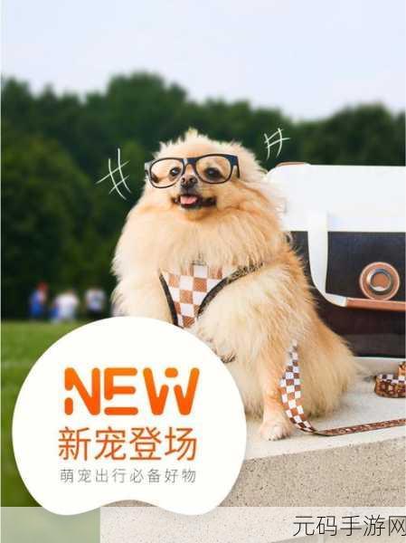 阿尔菲的奇幻之旅,探索未知世界的休闲新宠正式登场