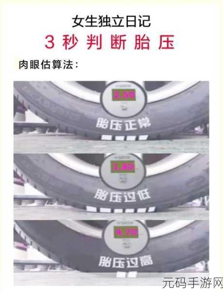掌握投胎技巧，畅玩模拟器，精准选择投胎路线指南