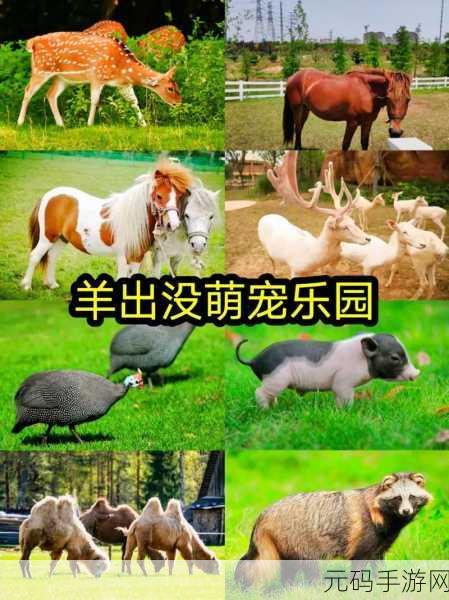 萌宠乐园新篇章,毛茸茸的牧羊场现已开放免费下载,休闲益智新选择!