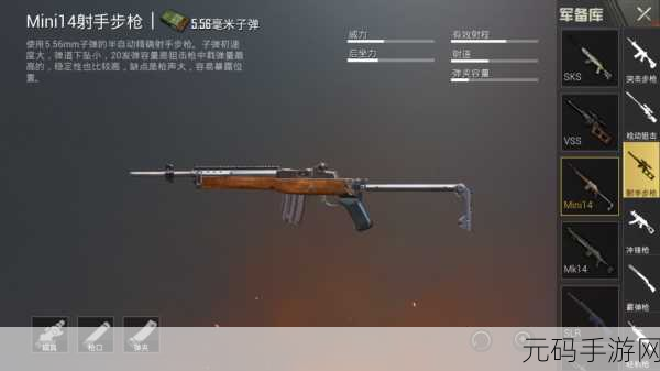 和平精英，Mini14 实战秘籍大公开