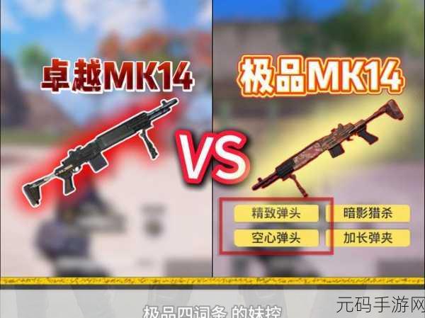 和平精英，Mini14 实战秘籍大公开