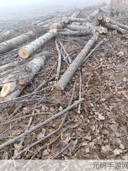 伐木工之岛,探索砍伐乐趣,打造工艺国度新体验
