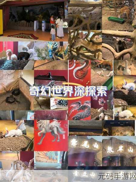 奇幻世界的大门已开,儿童益智新宠我的奇幻乐园等你来探索!