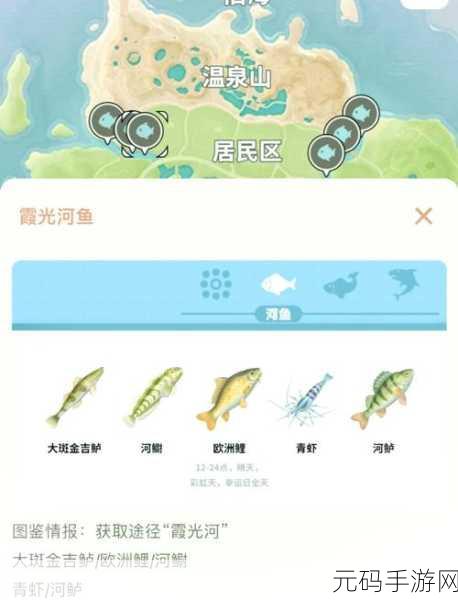心动小镇全鱼类出没大揭秘