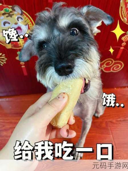 美食与恋爱交织的旋律,我的美味男神浪漫上线