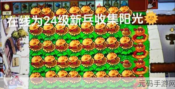梦幻冠军足球果盘版,绿茵场上的经营传奇