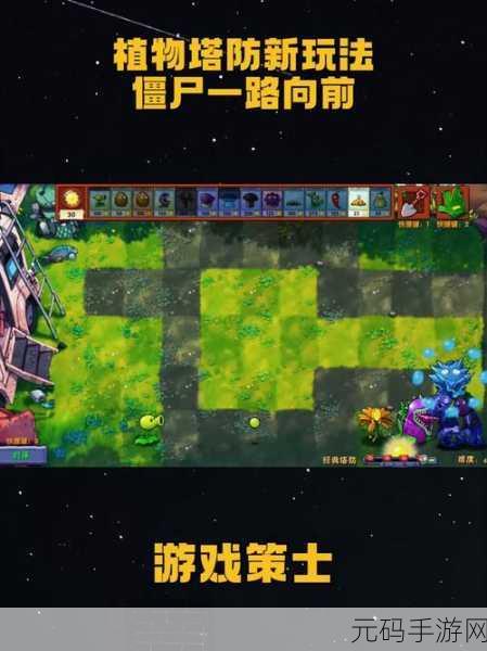 植物大战僵尸TV版新突破，键盘操控策略升级，打造沉浸式塔防新体验