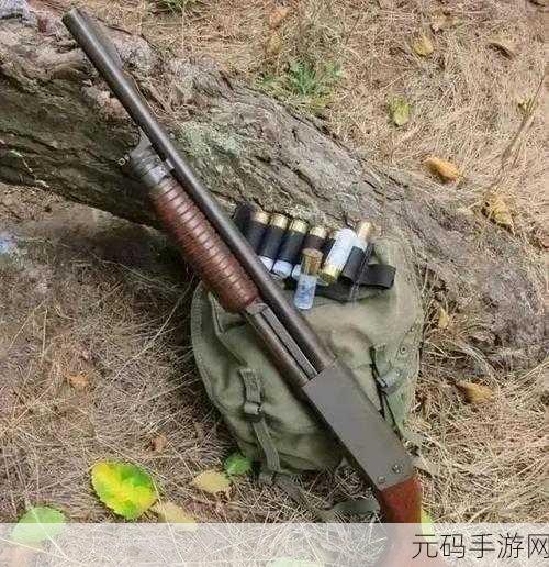 真实枪械2专业版震撼登场,2022最新版本,枪迷必备休闲射击盛宴