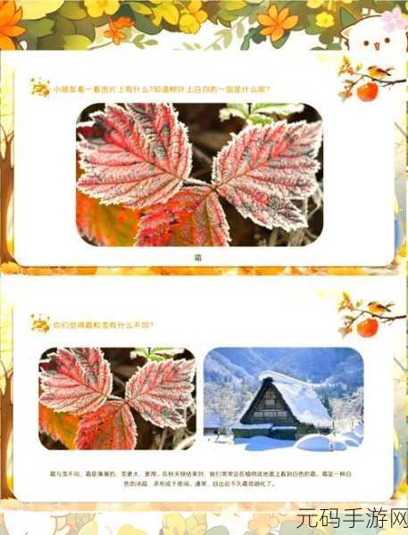 桃源深处有人家霜降节气活动全攻略指南