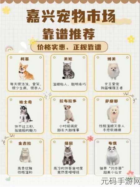 萌宠治愈新体验！猫咪小吃店最新版火爆上线，打造你的梦幻美食帝国