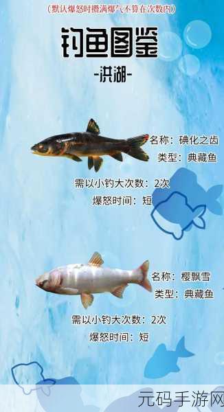 欢乐钓鱼大师，海蓝之谜垂钓秘籍大公开