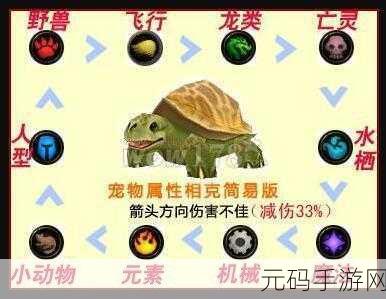 魔兽世界宠物对战秘籍，成为宠物大师之路