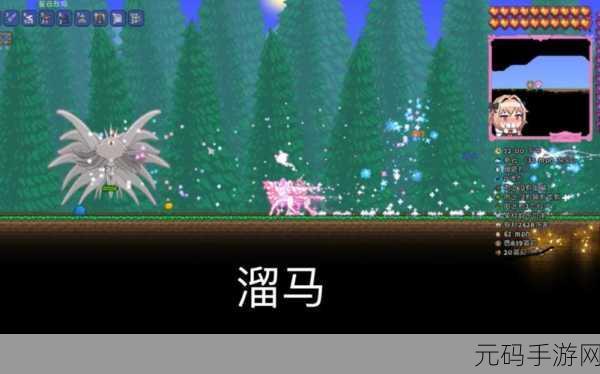 泰拉瑞亚，白马、黑马与彩马的深度剖析与选择指南