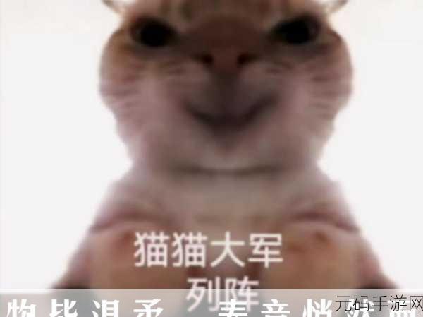 萌力全开！猫咪大战争席卷塔防界，策略与萌宠的完美碰撞