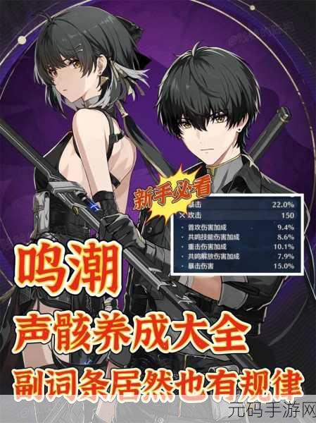 鸣潮手游银发声骸训练师一任务全攻略